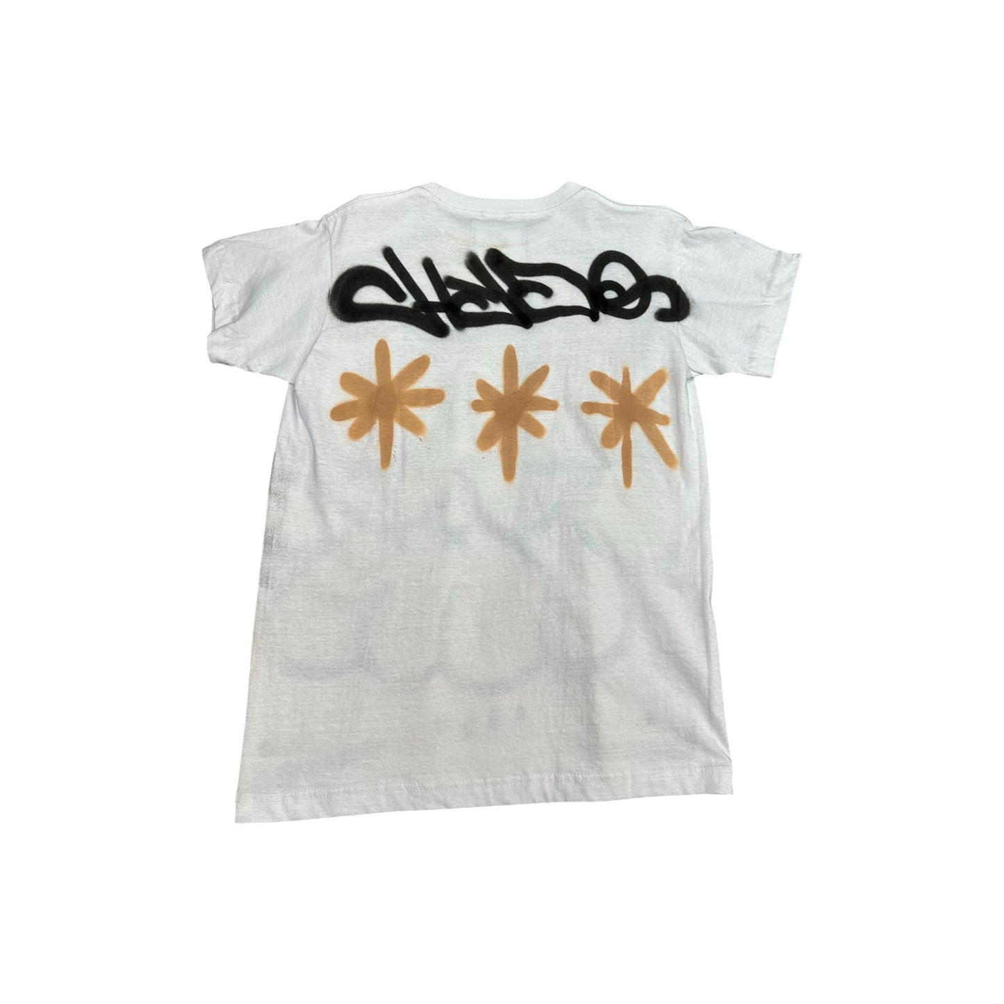 HydoPicasso FatBoy T Shirt 'Brown'