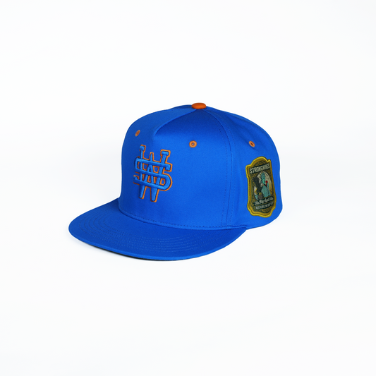 New York Knicks Inspired “SW” Flat Visor – The Big Apple Edition